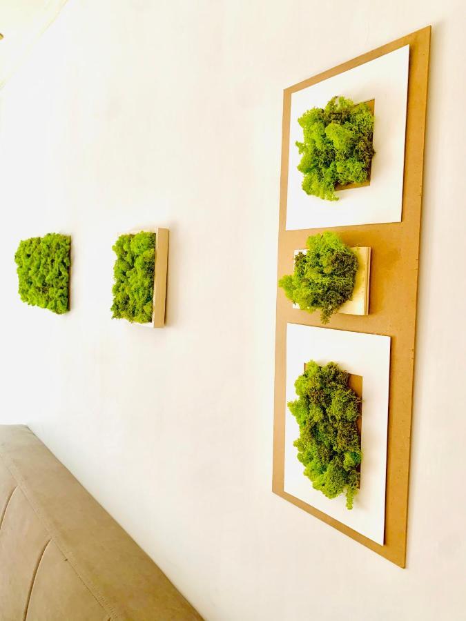 Plant House Eur Ferienhaus Rom