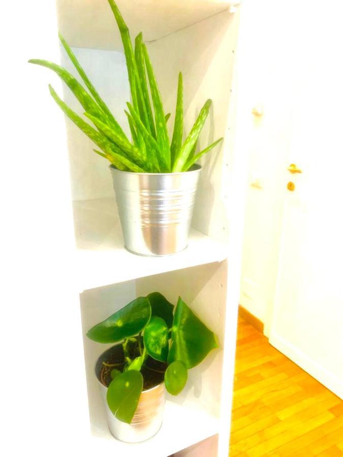 Feriehus Plant House Eur Rom